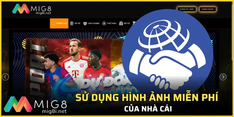 Quyền lợi sử dụng hình ảnh miễn phí của nhà cái